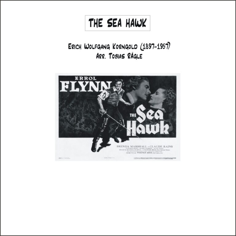 The Sea Hawk